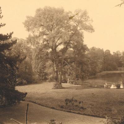 „Frorieps Garten“ - der heutige Weimarhallenpark um 1910.