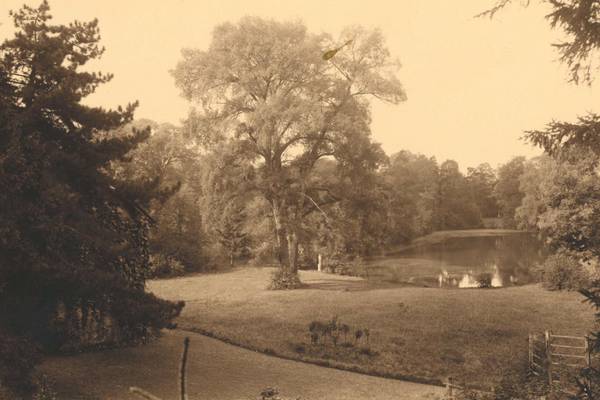 „Frorieps Garten“ - der heutige Weimarhallenpark um 1910.